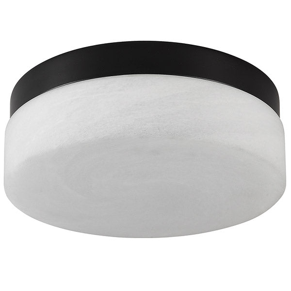 12 Inch LED Ceiling Light, 24W