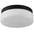 12 Inch LED Ceiling Light, 24W