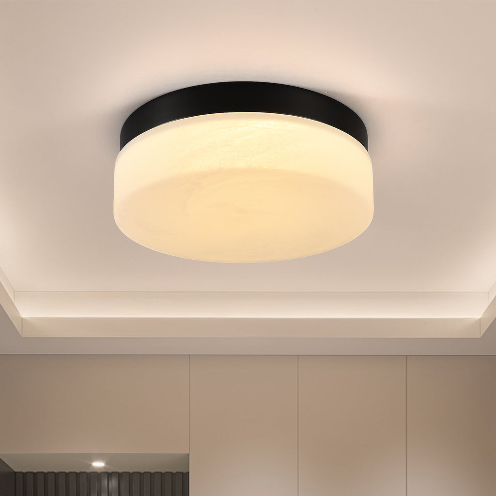 12 Inch LED Ceiling Light, 24W