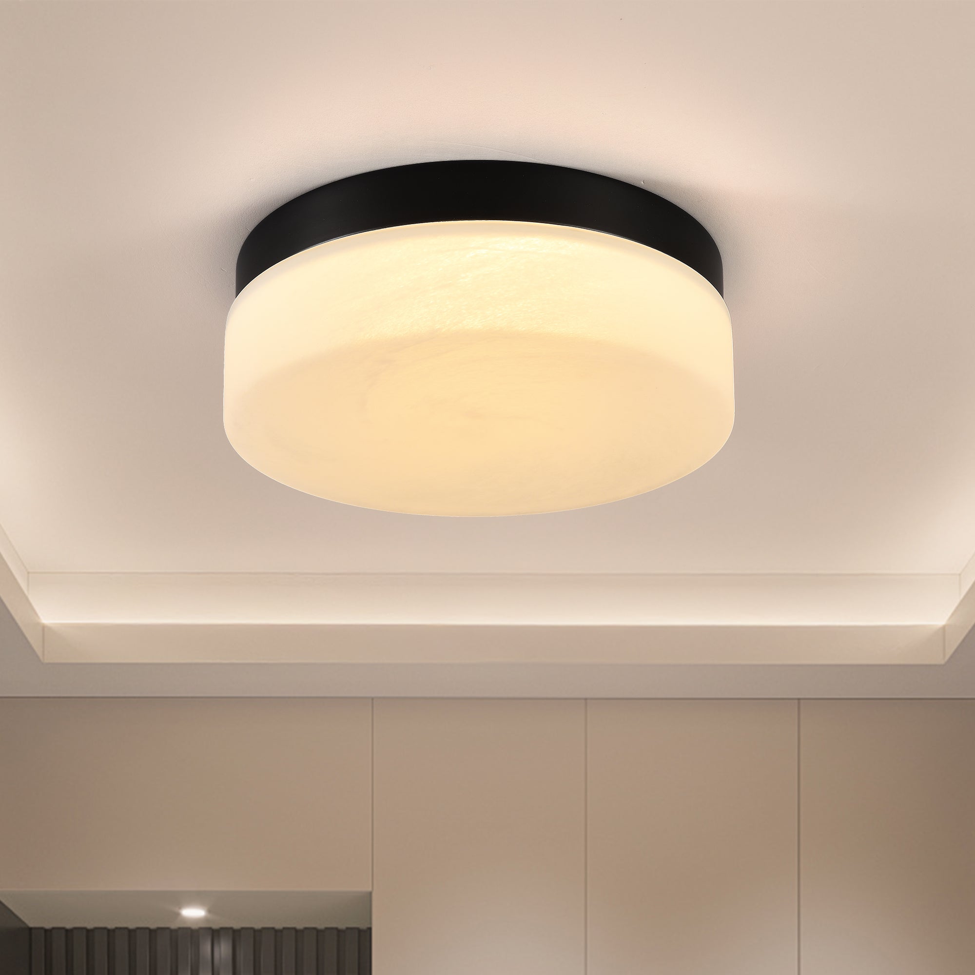 12 Inch LED Ceiling Light, 24W