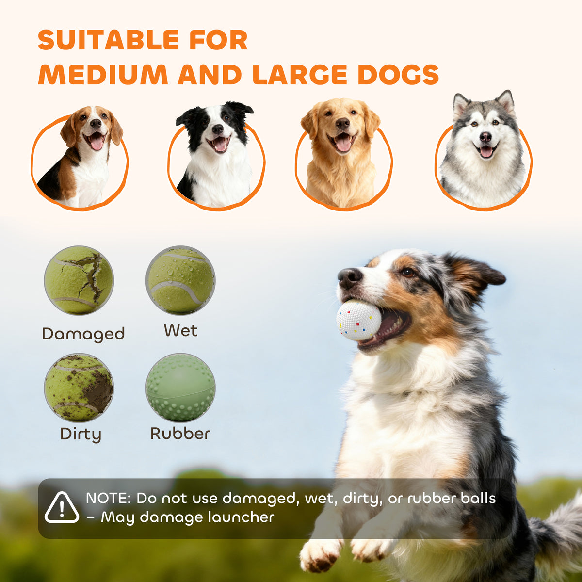 Ball launcher for medium and large dogs, with a note not to use damaged, wet, dirty or rubber balls