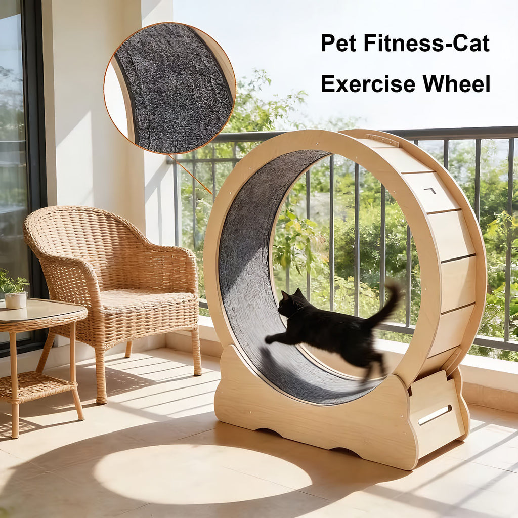 Black cat running on a wooden cat exercise wheel on a sunny balcony