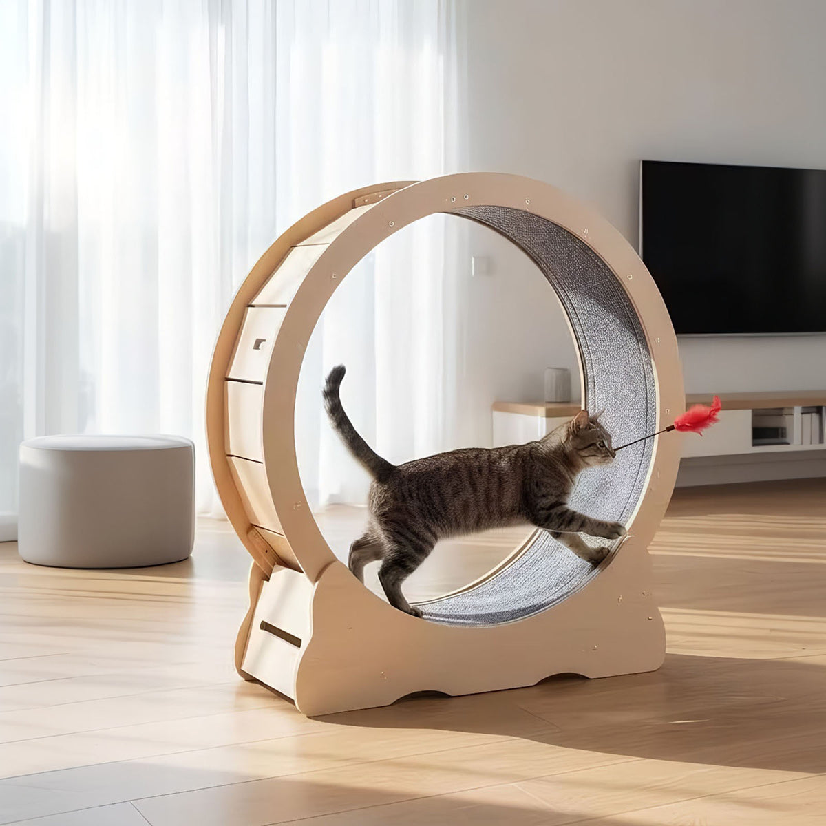 Tabby cat running inside a wooden cat wheel chasing a red feather toy